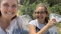 Columbia Bassett program participants pick blueberries during planned event in update New York.